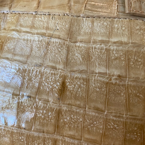 Nancy Gonzalez crocodile bag. - Picture 10 of 16